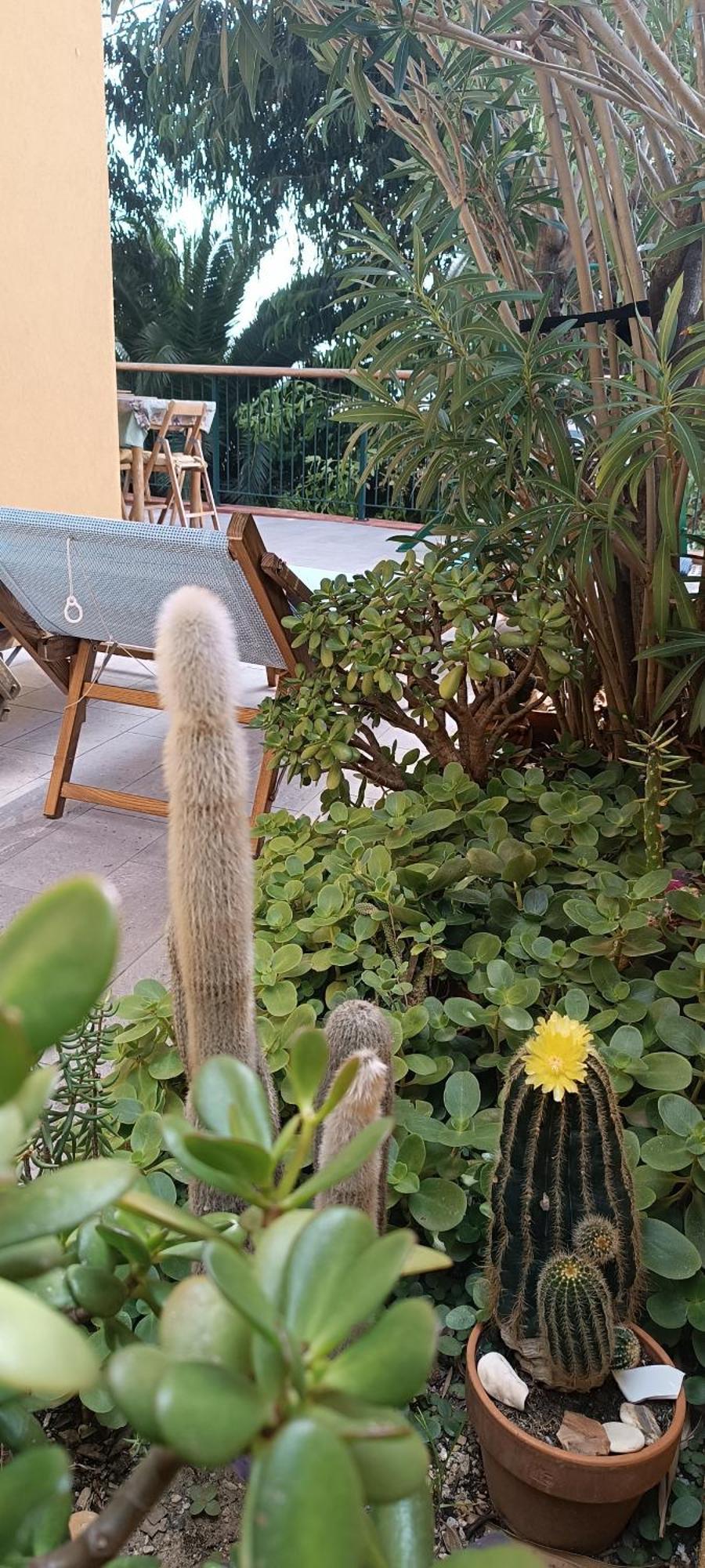 דירות פינאלה ליגורה Casa Di Claude Con Posto Auto מראה חיצוני תמונה